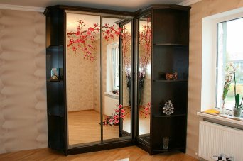 Шкаф купе в гостиную 22 Шкаф купе в гостиную 22