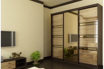Шкаф купе с зеркалом 4 Шкаф купе с зеркалом 4